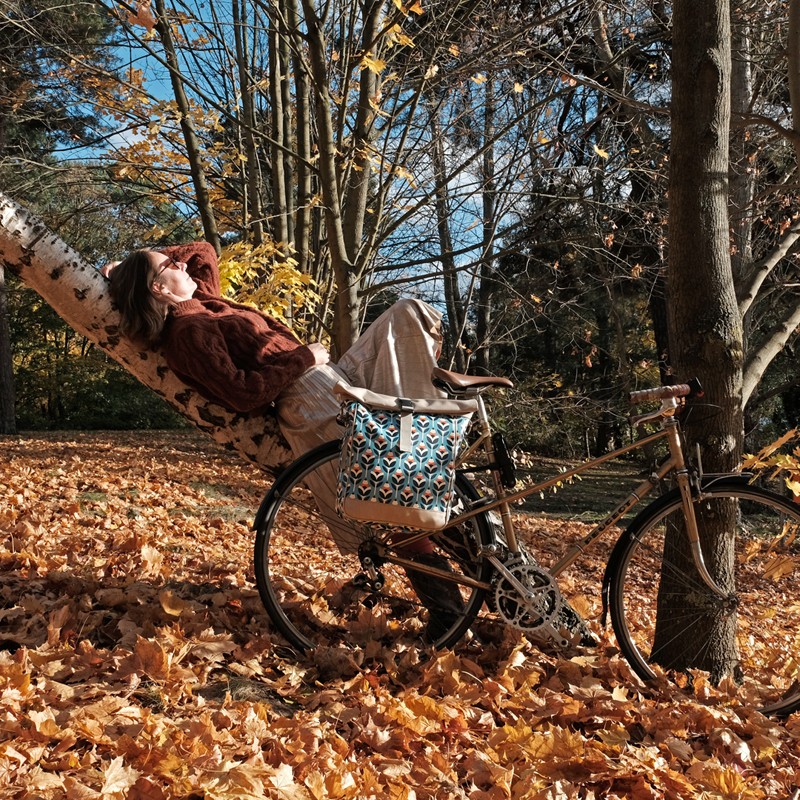 Fahrrad mit Seitentasche Scandinavia im Herbstlaub