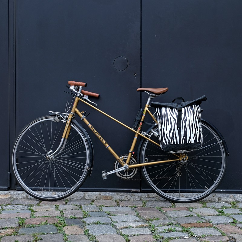 Kombi Fahrradtasche Rucksack Zebra am Damenrad vor dunkler Tür