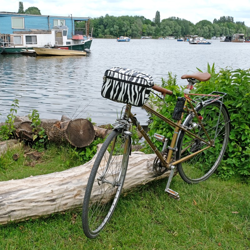 Fahrrad mit Lenkertasche Zebra am Ufer