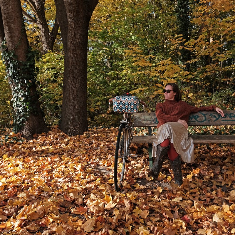 Frau mit Fahrrad und Lenkertasche Scandinavia im Herbstwald