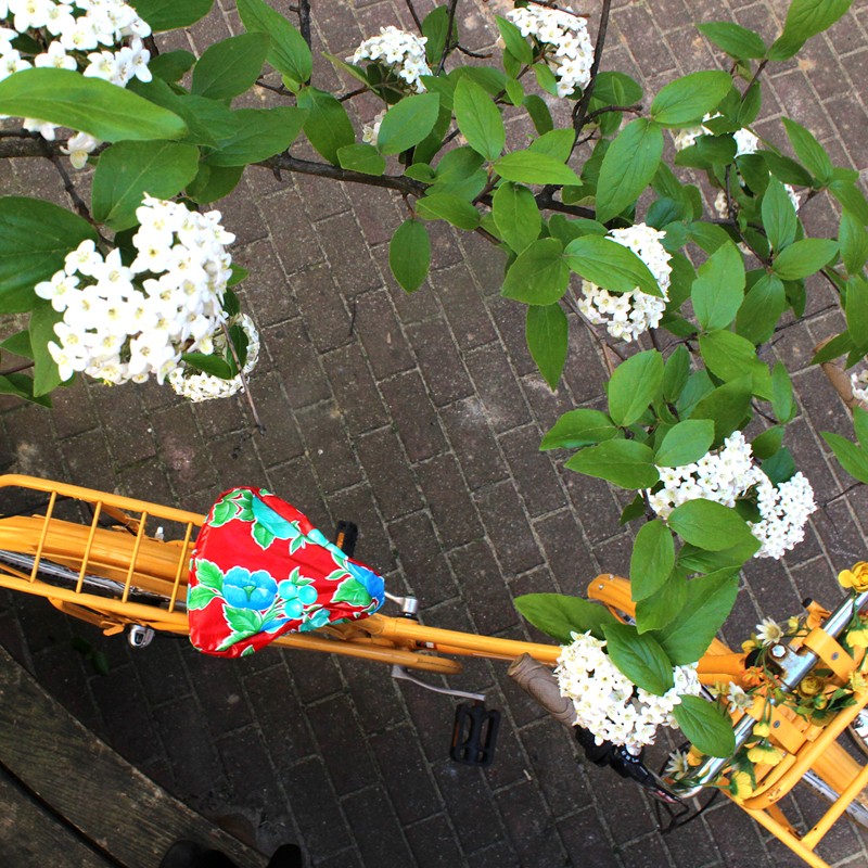 Fahrradsattel mit Bezug Capullo neben weißen Blüten